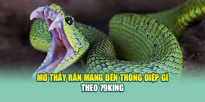 Mơ thấy rắn mang đến thông điệp gì theo 79King